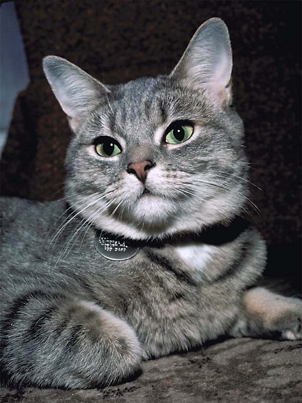 Dusty in 1976
