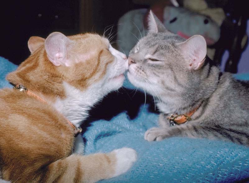 Quisty and Dusty 1976