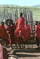 Masai warriors dancing