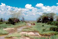 Tributary to Lake Manyara