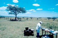 Bush lunch