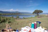 Picnic at Hippo Pool