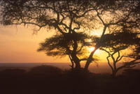 Sunset on the Serengeti