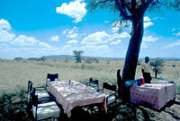 Bush Lunch in the Serengeti