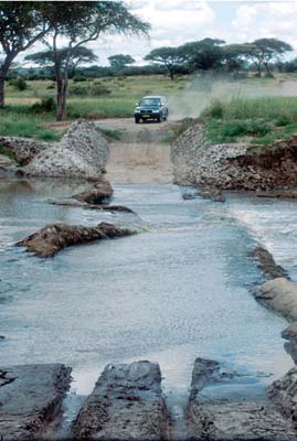 Crossing the River in Tarangire