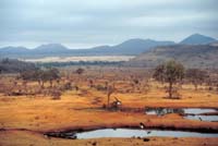 view from hotel at tsavo