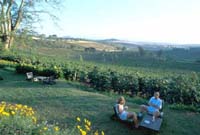 Gibbs farm