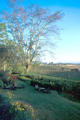 Gibbs Farm