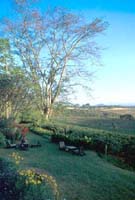View from Gibbs Farm