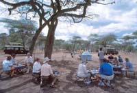 Bush lunch