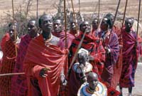 Masai Warriors
