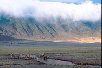 Fog creeping over the crater rim