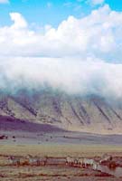 Fog creeping over Crater wall