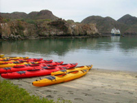 WS20080126-150212-800x600t