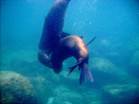 WS20080127-075837-800x600t
