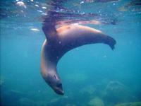 WS20080127-080708-800x600t