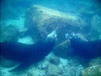 WS20080127-080819-800x600t