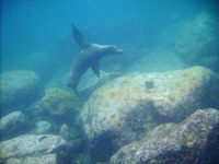 WS20080127-081845-800x600t