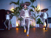 WS20080128-191950-800x600t