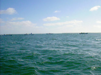 WS20080129-143716-800x600t