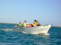 WS20080129-145958-800x600t