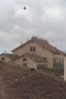 4801-0014t.jpg