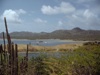 0428-0088a-800x600t.jpg