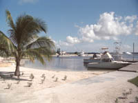 4801-0032a-800x600t.jpg
