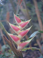 4801-0101a-800x600t.jpg
