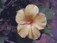 4801-0104a-800x600t.jpg