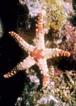 3738-0048tt.jpg