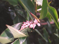4801-0072a-800x600t.jpg