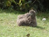 d2006-03-17-181336-800x600t.jpg