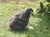 d2006-03-17-181447a-800x600t.jpg