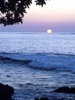 S162-2a-800x600t.jpg