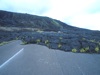 S268-010a-800x600t.jpg