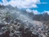 S269-009a-800x600t.jpg