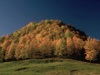 0428-0099a-800x600t.jpg