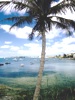 2974-0028a-800x600t.jpg