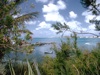 2974-0029a-800x600t.jpg
