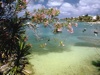 2974-0030a-800x600t.jpg