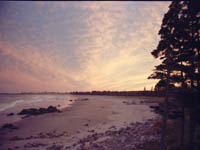 4801-0088a-800x600t.jpg